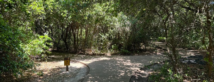 Nature Preserve at Laffite's Cove is one of Galveston Featherfest.