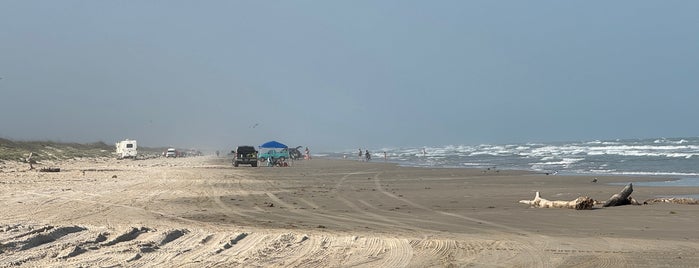 Padre Island National Seashore is one of Houston.