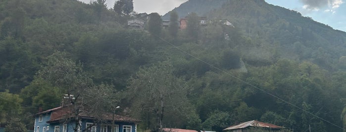 Borçka Çarşı is one of Gümüşhane&Trabzon&Rize&Batum&Artvin 2023.