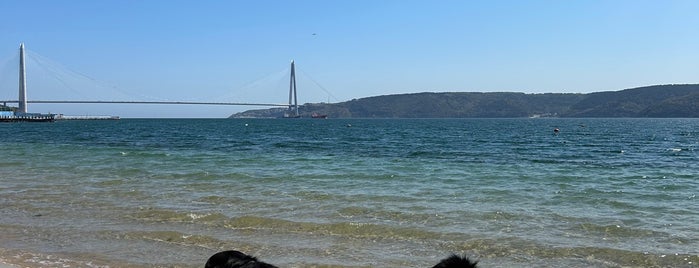 Altınkum Beach Club is one of İstanbul Avrupa Yakası #2 🍁🍃.