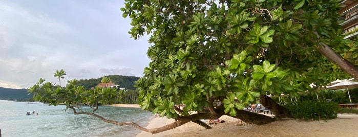 Marimegmeg Beach is one of El Nido.