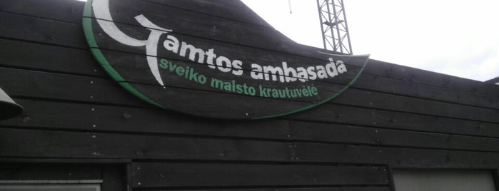 gamtos ambasada is one of PAVALGYC.