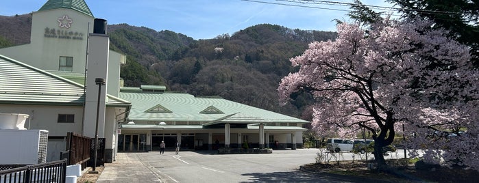 Takato Sakura Hotel is one of 高遠城址公園.