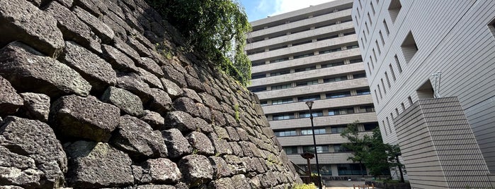 Fukui Castle Ruins is one of \nl6cy'gusdi.