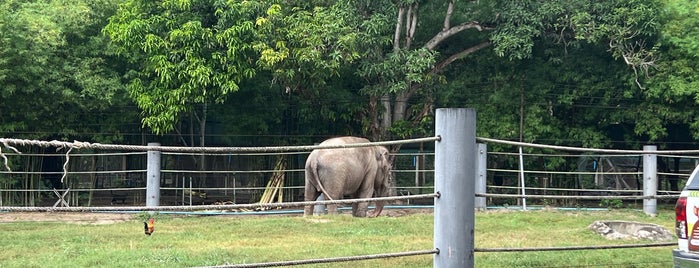 Wildlife Rescue Center is one of Thailand.