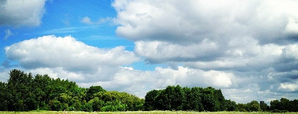Aylestone Meadows Nature Reserve (packhorse Bridge Car Park) is one of Leicester Bucket list.