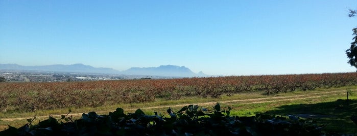 Amani Wine Farm is one of Food & Wine - Cape Town & Surrounds.