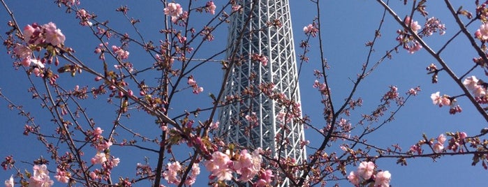 東京スカイツリー インフォプラザ is one of Japan Trip Day 4.