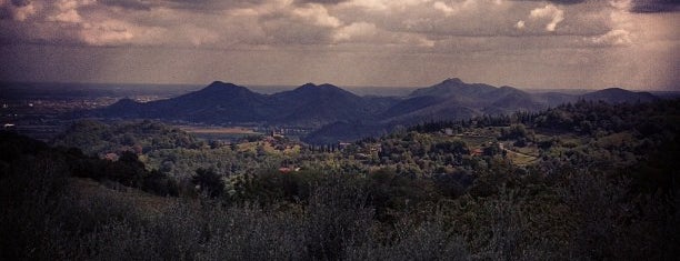 Colli Euganei is one of Colli Euganei - Euganean Hills.