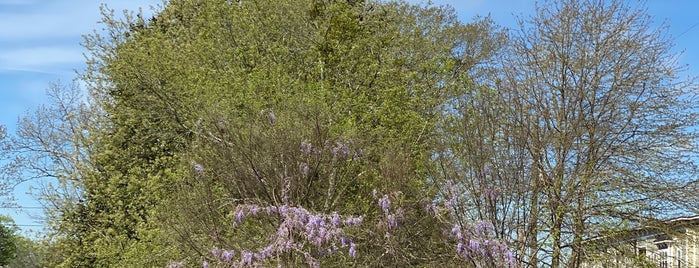 Silver Comet Trail is one of places to run in Georgia.