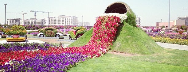 Dubai Miracle Garden is one of Dubai,The Land with Lots of  Wonders.