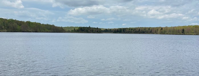 Tobyhanna State Park is one of Poconos.