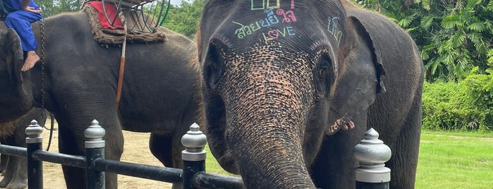 Samphran Elephant Ground & Zoo is one of Favorite Place at overseas.