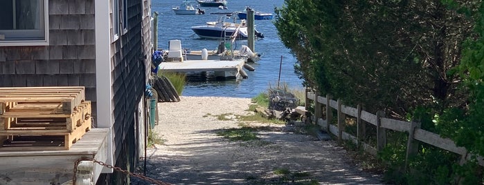 Cotuit Oyster Company is one of Cape cod.