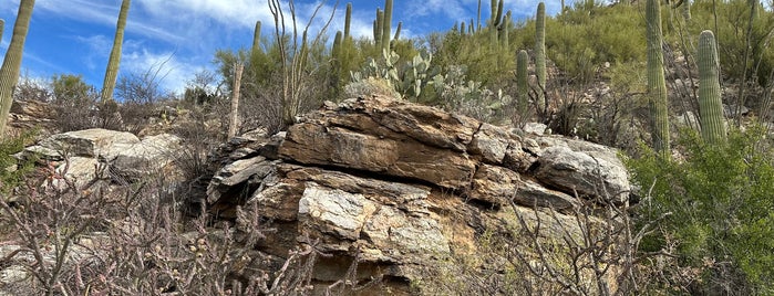 Bear Canyon Trailhead is one of Favorite Hiking Trails in Tucson, AZ.