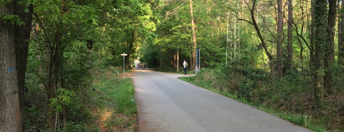 Bosco di Cesate is one of Posti che sono piaciuti a Mik.