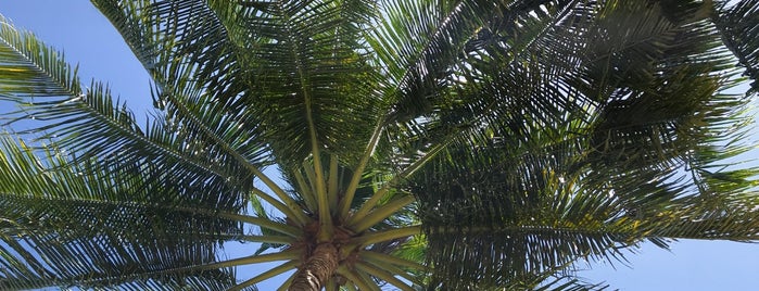 Tingko Beach is one of Cebu Island.