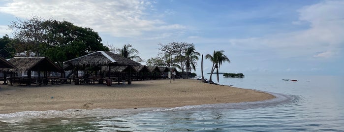 Starfish Island is one of Philippines:Palawan/Puerto/El Nido.