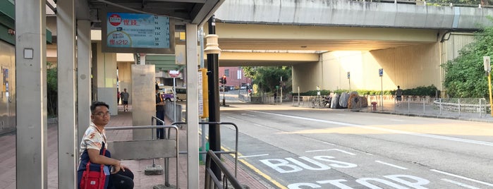 Chi Lin Nunnery Bus Stop 志蓮淨苑巴士站 is one of HK.