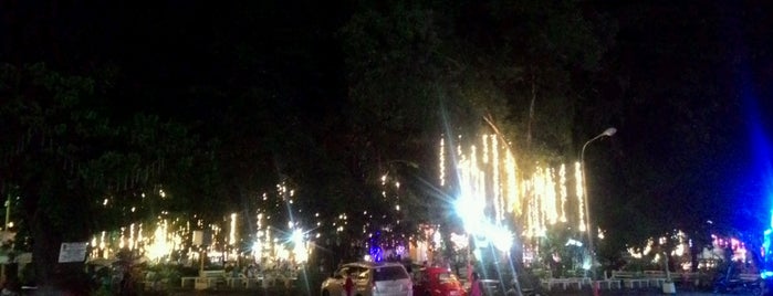 Luneta Park is one of Surigao.