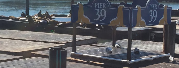 Pier 39 is one of San Francisco.