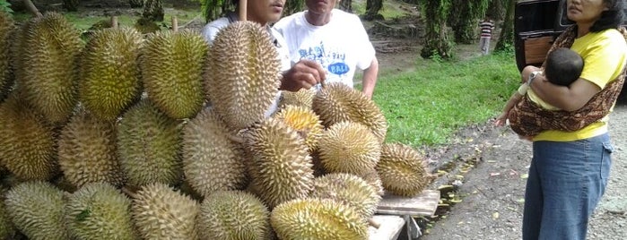 Durian bah sampuran is one of horeeeeeeeeeeeee.