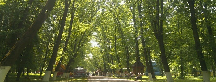 Боздошський парк is one of Lugares favoritos de Alyona.