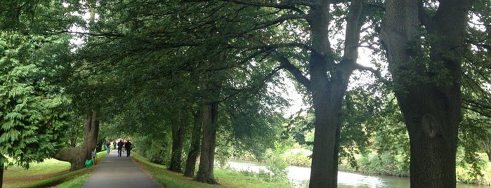Bute Park is one of Local's Guide to Cardiff.