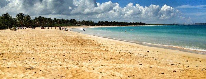 Playa El Macao is one of Locais curtidos por Alicia.