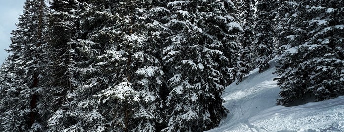 Brighton Ski Resort is one of Places to shred around the world.