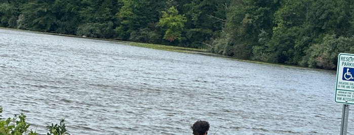 Lake Nockamixon is one of Regular spots.