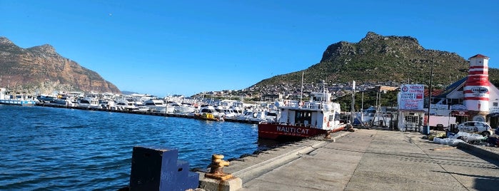 Hout Bay is one of No te lo Pierdas: a menos de 1h de Ciudad del Cabo.