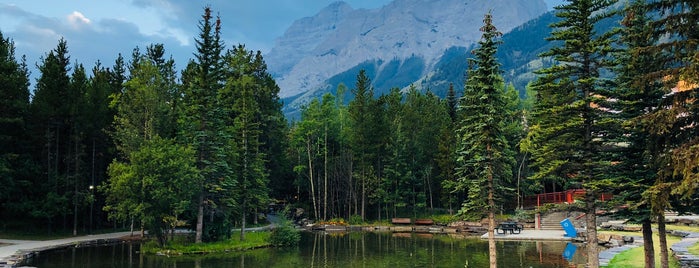 Delta Hotels by Marriott Kananaskis Lodge is one of Canada 2013.