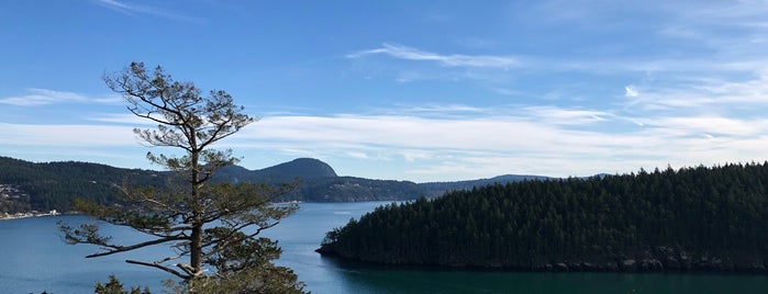 Washington park loop road is one of Lieux qui ont plu à Vern.