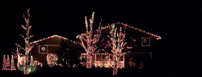 Chritsmas light show house is one of Fun adventures.