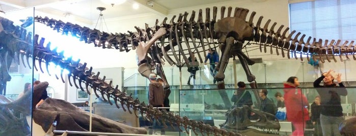 American Museum of Natural History is one of Tempat yang Disukai Gabriele.