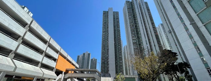 City One Shatin is one of สถานที่ที่ Kevin ถูกใจ.