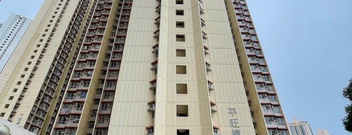 Ping Tin Estate is one of 公共屋邨.