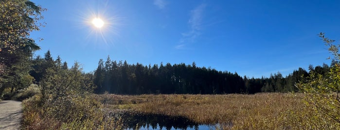 Beaver Lake is one of Vancouver.