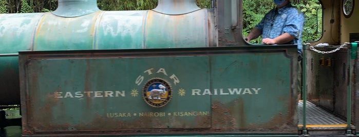 Wildlife Express Train is one of Animal Kingdom.