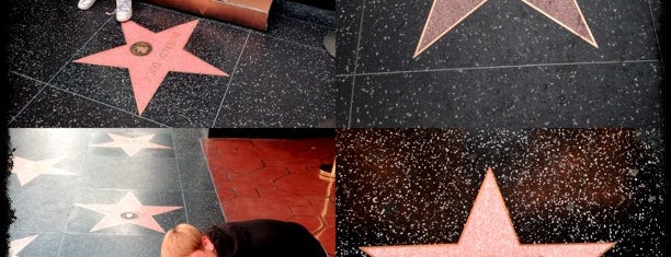 Hollywood Walk of Fame is one of Someday I will be here..
