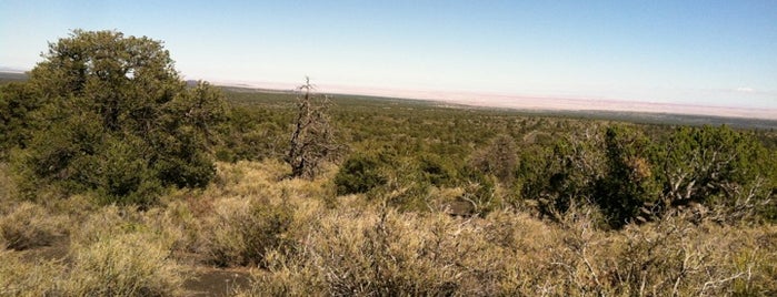 Painted Desert Vista is one of สถานที่ที่ Paula ถูกใจ.