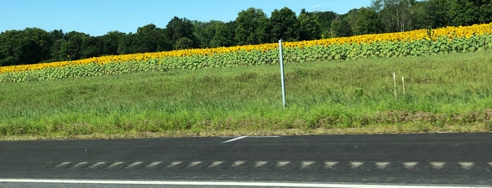 Highway 371 is one of Minnesota Travels.