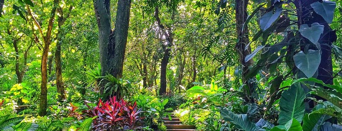 La Mesa Eco Park Petron Amphitheater is one of Itinerary.