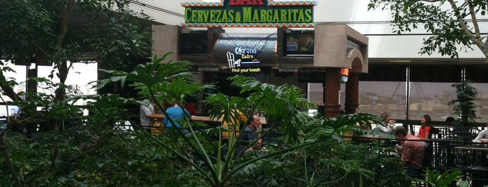 Camacho's Cantina is one of Mexican.