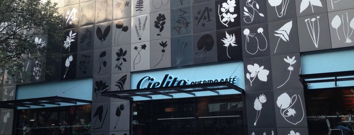 Cielito Querido Café is one of Places to go to In Mexico City.