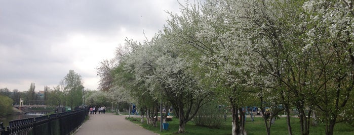 Детский парк is one of Орловский моцион.