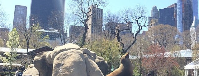 Central Park Zoo is one of The Best Things to do in New York in the Summer.