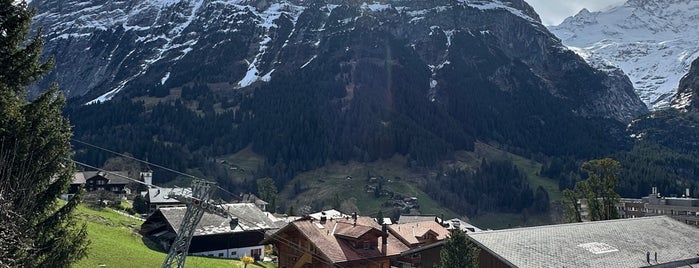 Golden India is one of Grindelwald.