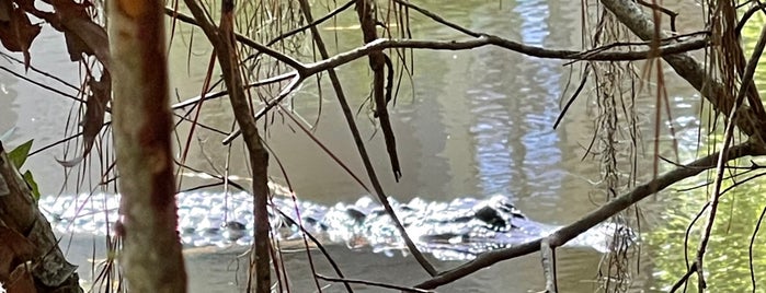 Alligator Adventure is one of Fav Places in Hilton Head / Savannah.